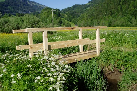 Barfussweg, Bizau